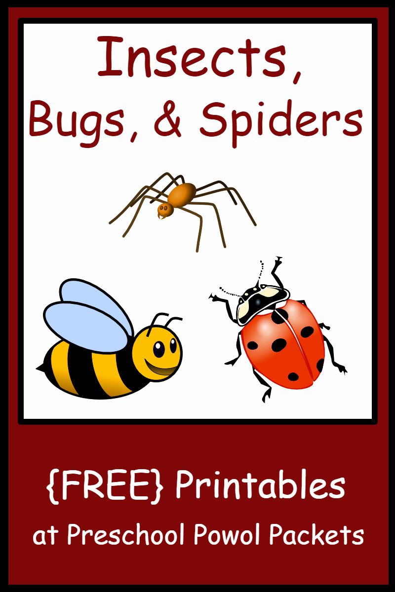 Insect Worksheets for Preschoolers Fresh Insect Bug &amp; Spider themed Free Preschool Printables