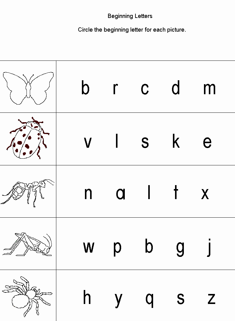 Insect Worksheets for Preschoolers Inspirational Bugs Worksheets Preschool