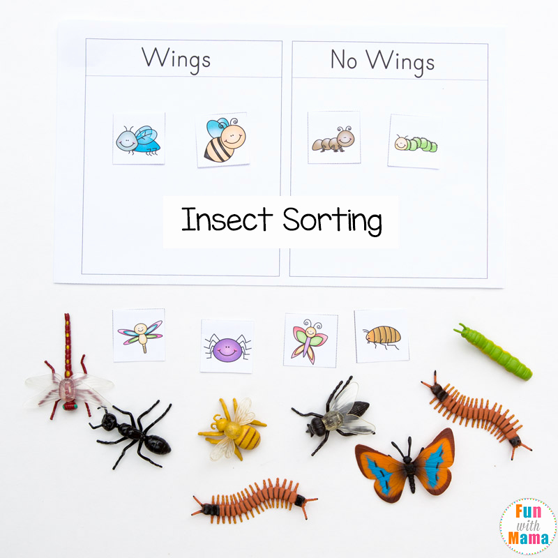Insect Worksheets for Preschoolers Inspirational Preschool Insect theme sorting Worksheet Bug Activities