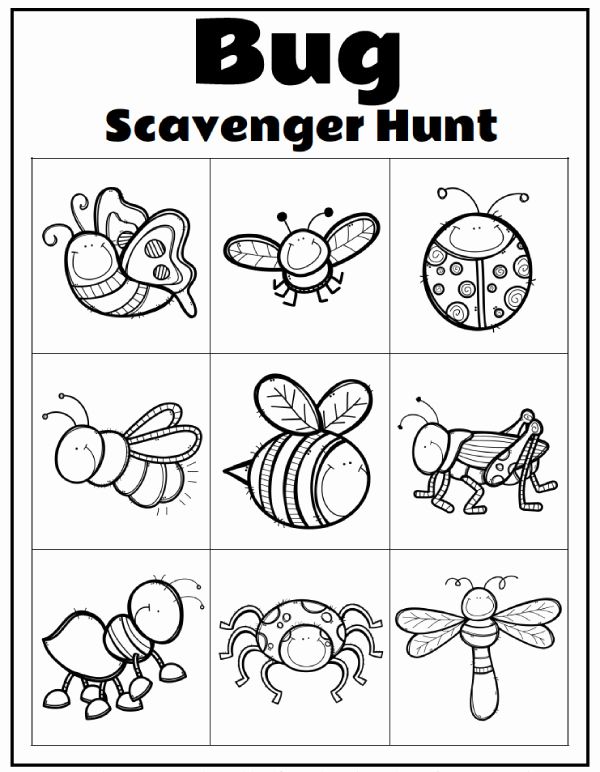 Insect Worksheets for Preschoolers Luxury Insect Unit Study