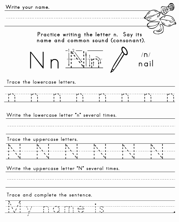 Letter N Worksheets for Kindergarten Luxury the Letter N Sight Words Reading Writing Spelling