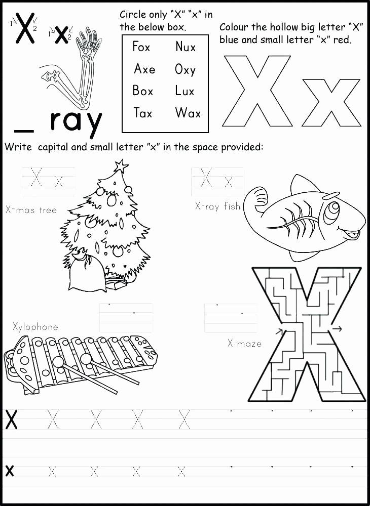 Letter X Worksheets Kindergarten Best Of Letter X Worksheets for Kindergarten 1st Grade Alphabet