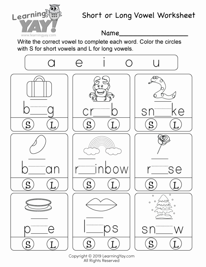 Long Vowel Worksheets Pdf Inspirational Learning Vowels “a” Worksheets