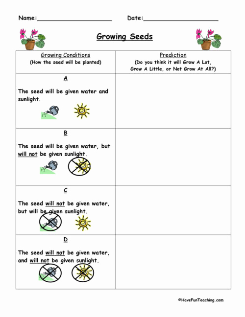 Making Predictions Worksheets 2nd Grade Best Of 20 Making Predictions Worksheet 2nd Grade