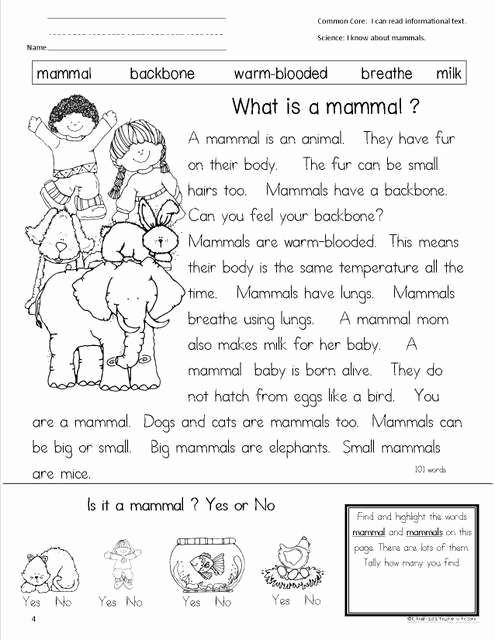 Mammals Worksheets for 2nd Grade Awesome 52 Best Images About Animal Ideas On Pinterest