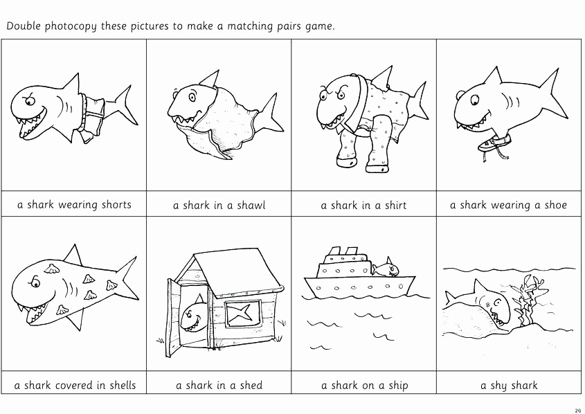 Mammals Worksheets for 2nd Grade Beautiful 25 Mammals Worksheets for 2nd Grade