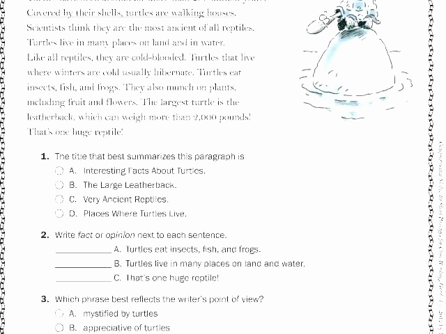 Mammals Worksheets for 2nd Grade Best Of 25 Mammals Worksheets for 2nd Grade
