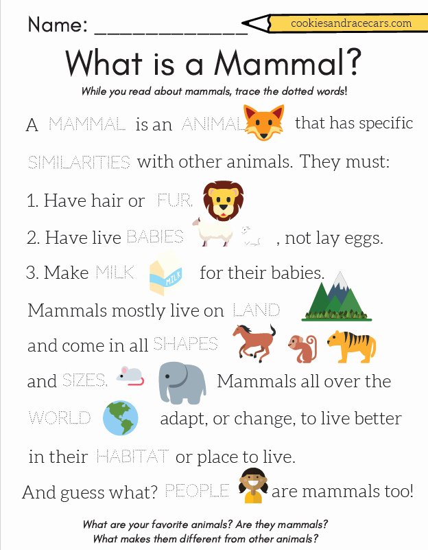 Mammals Worksheets for 2nd Grade Elegant Mammals Grade 2 Worksheets Pets Lovers