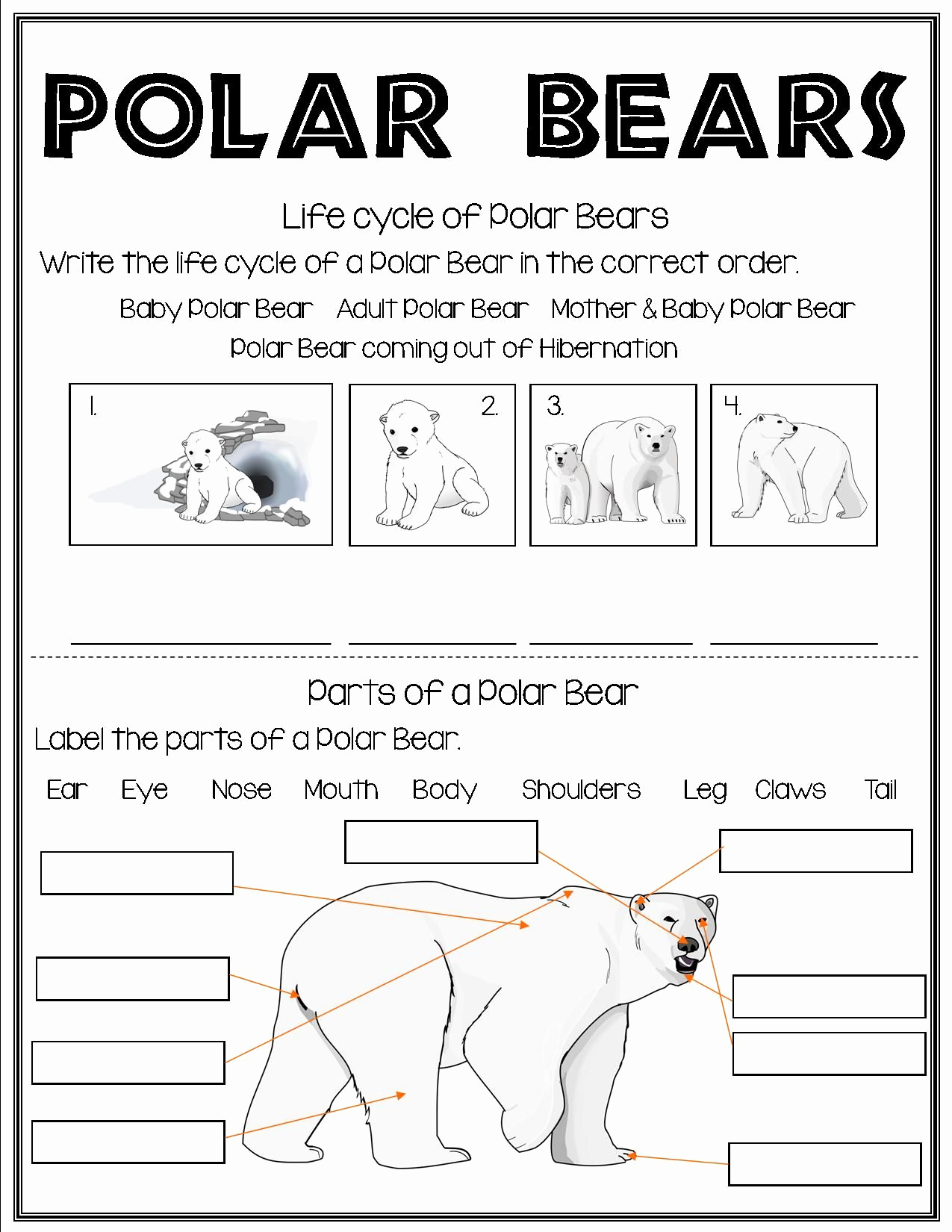 Mammals Worksheets for 2nd Grade Lovely Mammals 2nd Grade Pets Lovers
