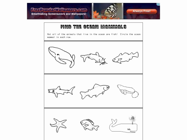 Mammals Worksheets for 2nd Grade Unique Find the Ocean Mammals Worksheet for Kindergarten 2nd