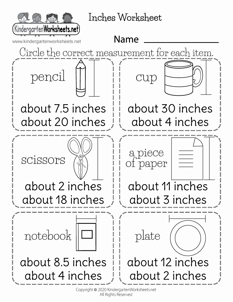 Measuring In Inches Worksheets Beautiful Inches Worksheet for Kindergarten Free Printable