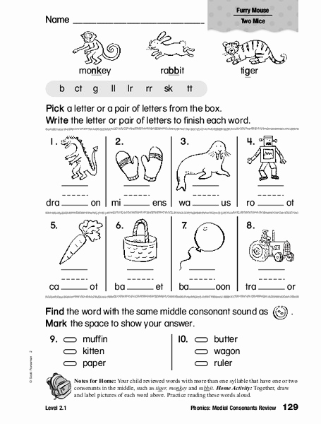Medial sounds Worksheets First Grade Best Of Phonics Medial Consonants Review Worksheet for 1st 2nd