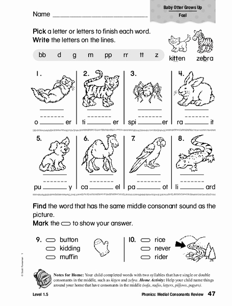 Medial sounds Worksheets First Grade Luxury Phonics Medial Consonants Review Worksheet for 1st 2nd