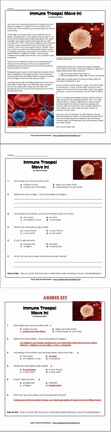 Middle School Inference Worksheets Unique Did You Know Stw Has Middle School Reading Prehension