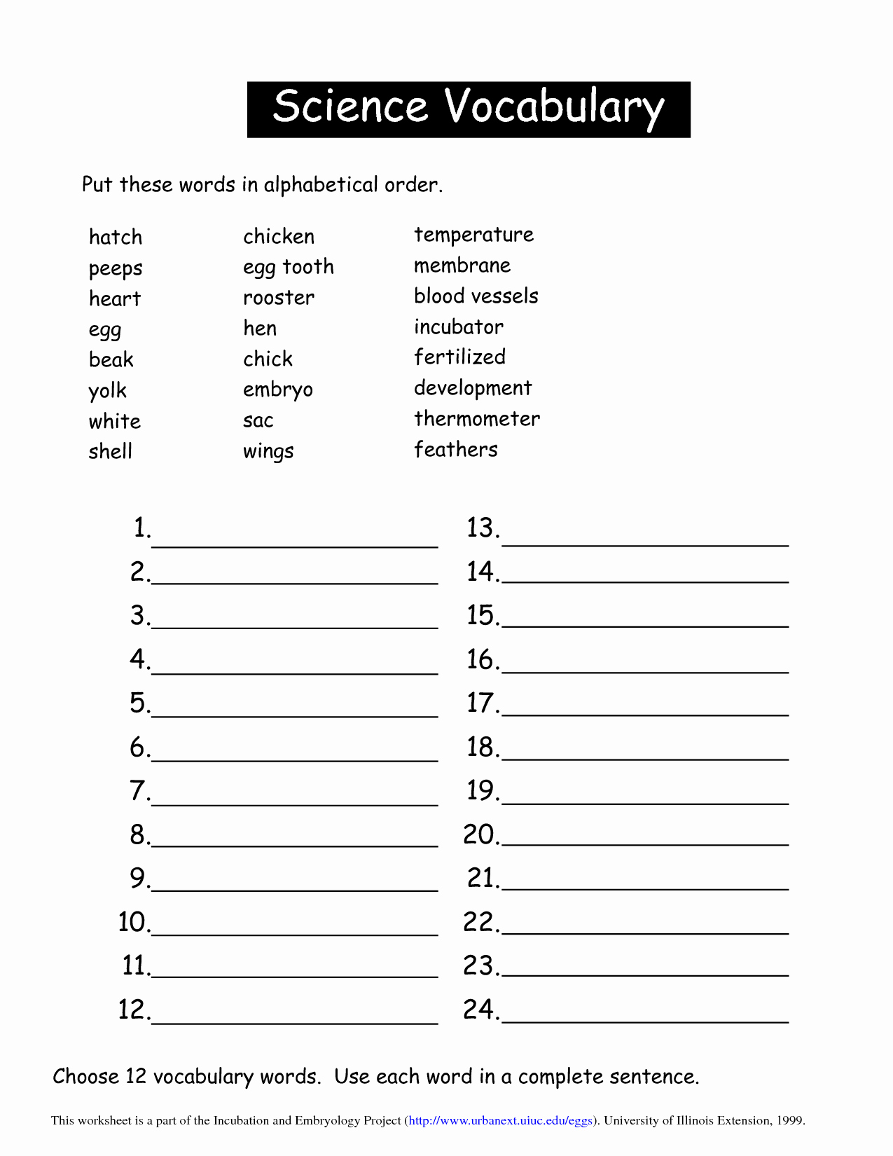 Middle School Science Worksheets Pdf Awesome 17 Best Of Middle School Science Worksheets Pdf
