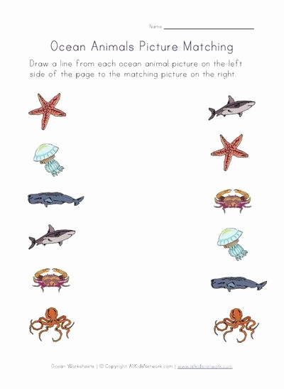 Ocean Worksheets for Preschool Luxury Ocean Worksheets for Several Different Skills Preschool