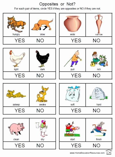 Opposites Worksheet for Kindergarten Best Of 12 Printable Opposites Worksheets Free and Easy to