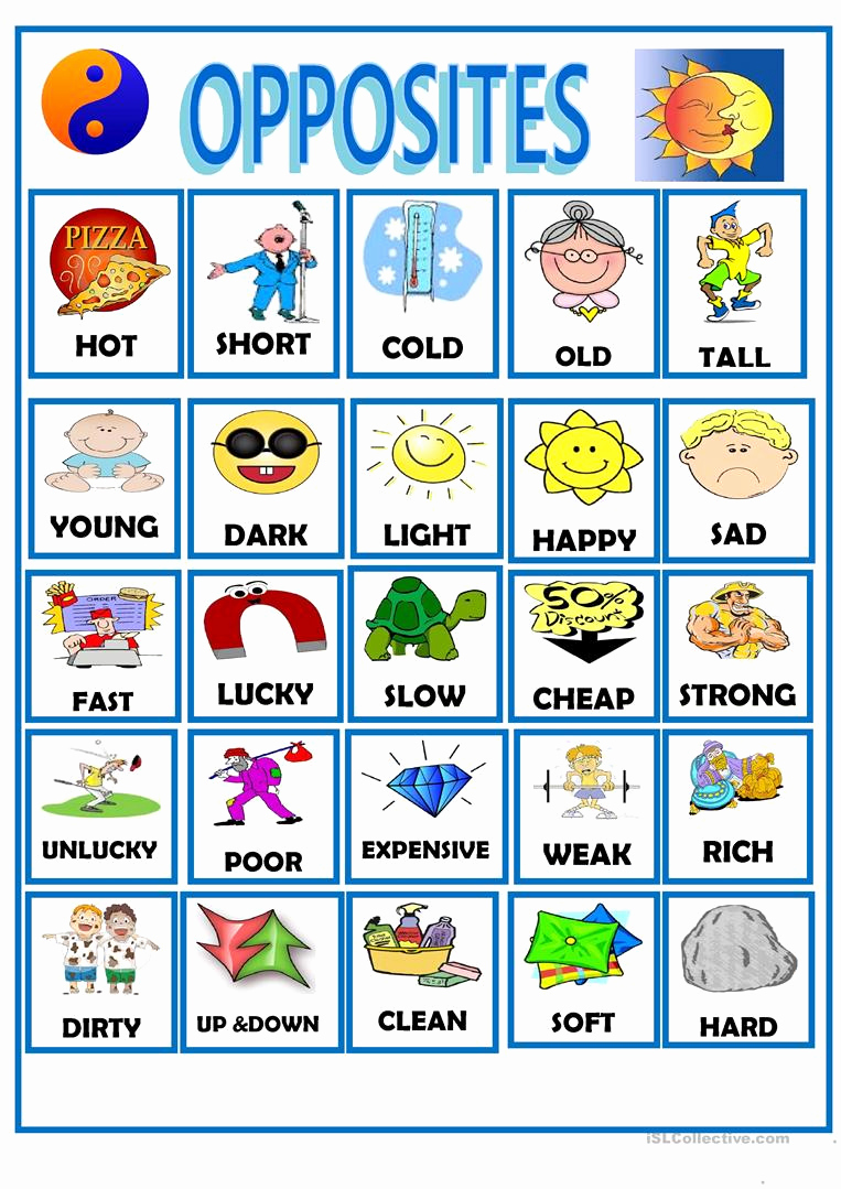 Oppositespictureswfun2 Opposites Preschool Kindergarten Matching 