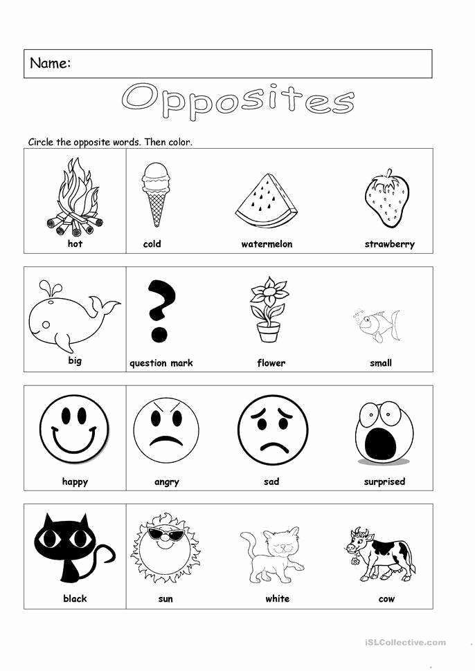 Opposites Worksheet for Preschool Inspirational Opposites Worksheets