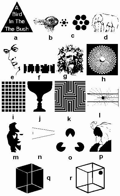 Optical Illusion Worksheets Printable Awesome Optical Illusions