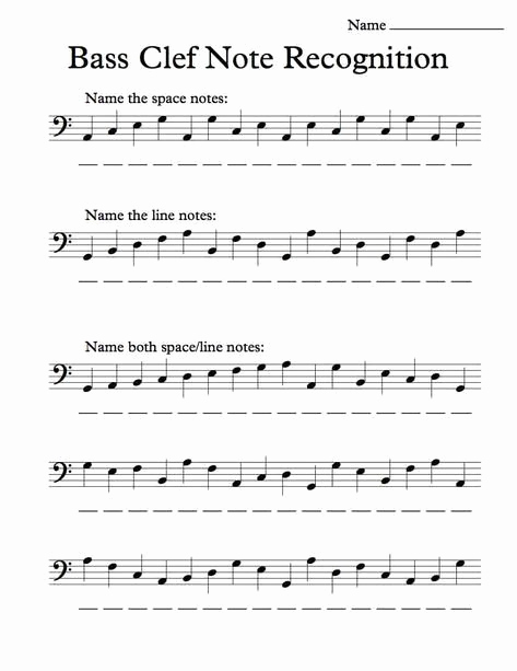 Opus Music Worksheets Answers New 20 Opus Music Worksheets Answers