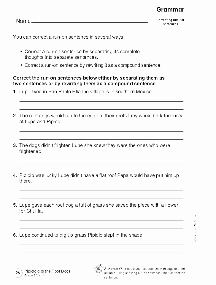 Paragraph Editing Worksheets 5th Grade