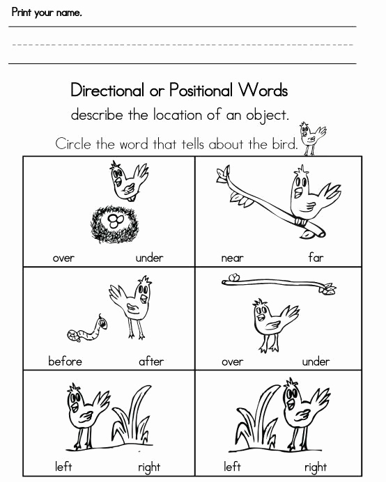 Positional Words Worksheets for Preschool Beautiful Kindergarten Positional Words Worksheet