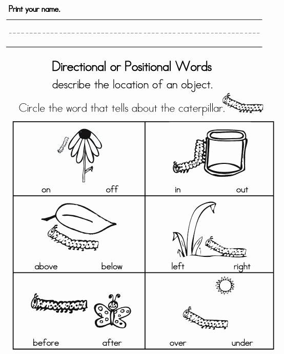 Positional Words Worksheets for Preschool Inspirational Sight Words Activities