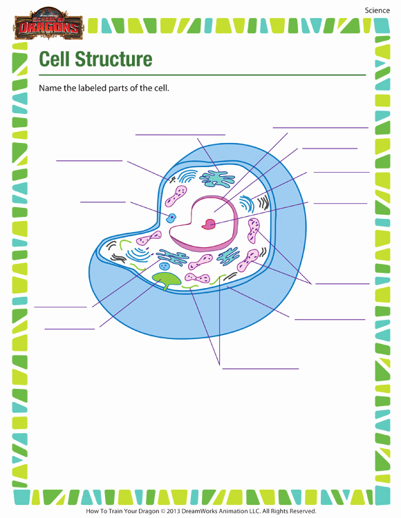 Printable Cell Worksheets Beautiful Cell Structure – Free Cell Worksheet for 7th Grade Kids