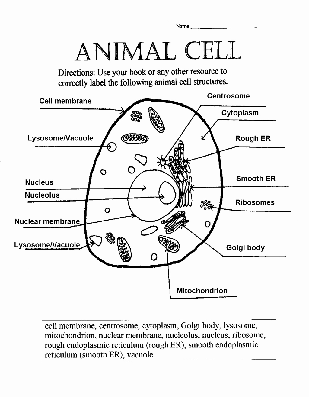 Printable Cell Worksheets Best Of Plant and Animal Cell Pictures with Labels Biological