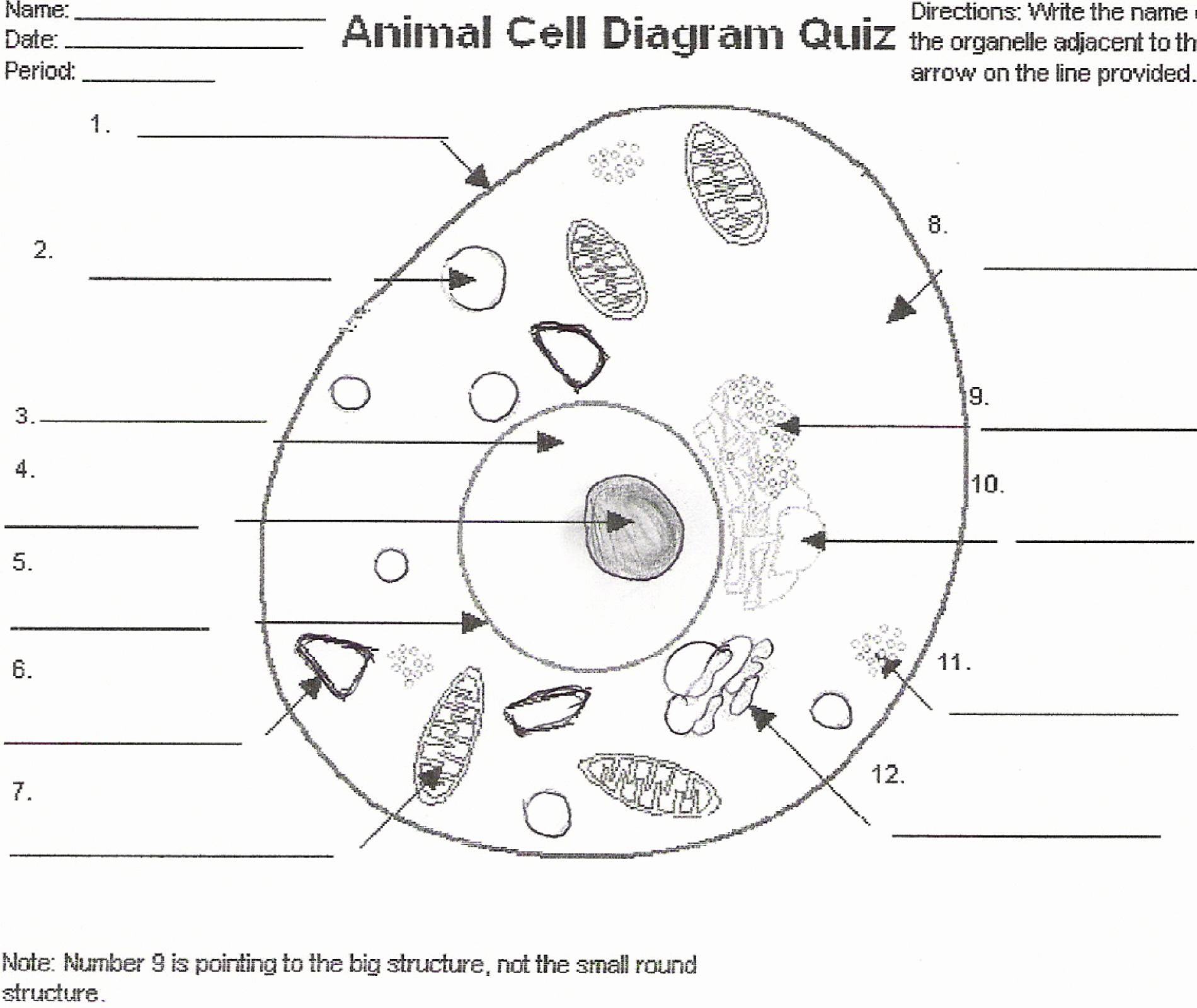 Printable Cell Worksheets Elegant Teach Child How to Read Free Printable Worksheet Simple