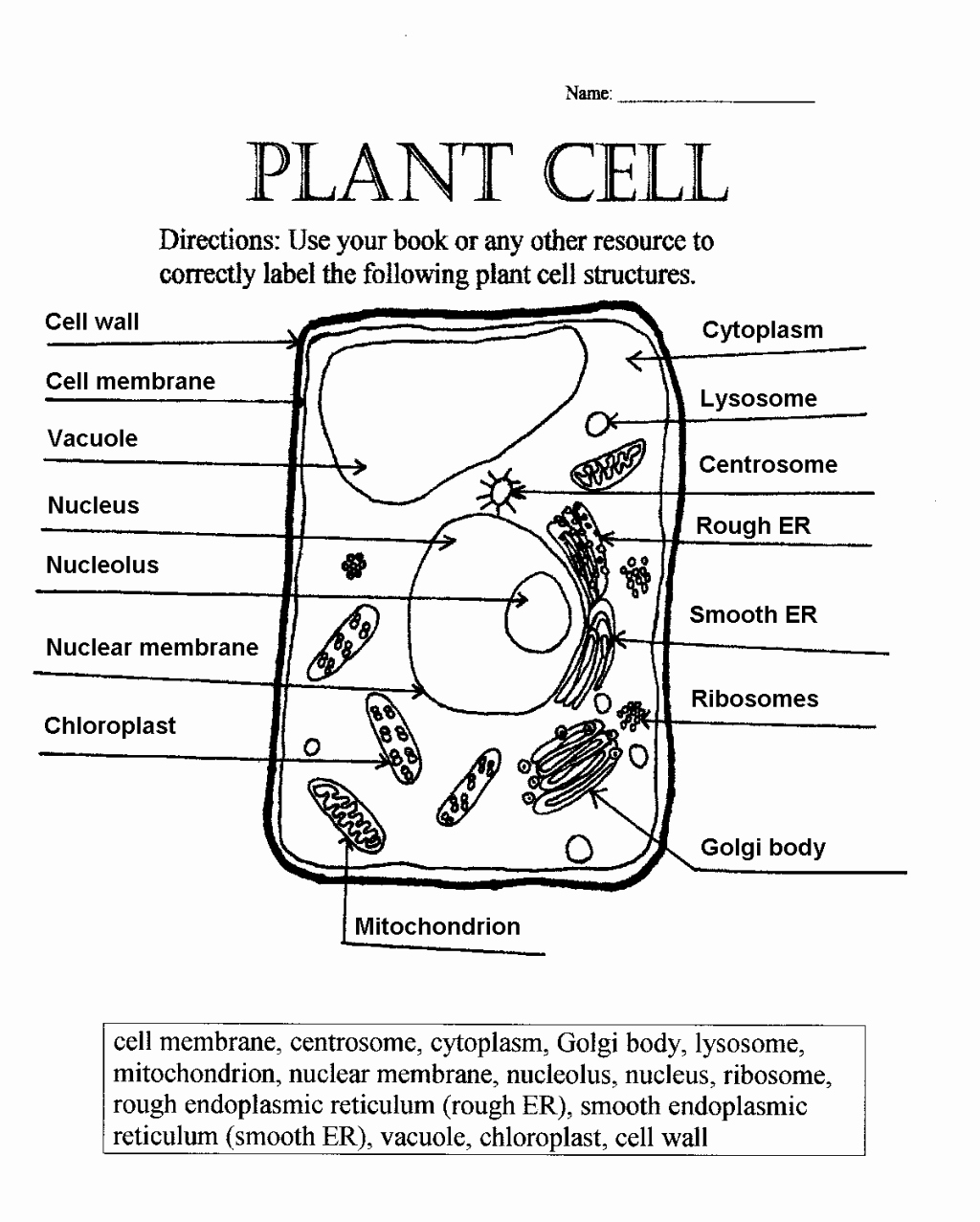 Printable Cell Worksheets Fresh Label Plant Cell Worksheet 1 Biological