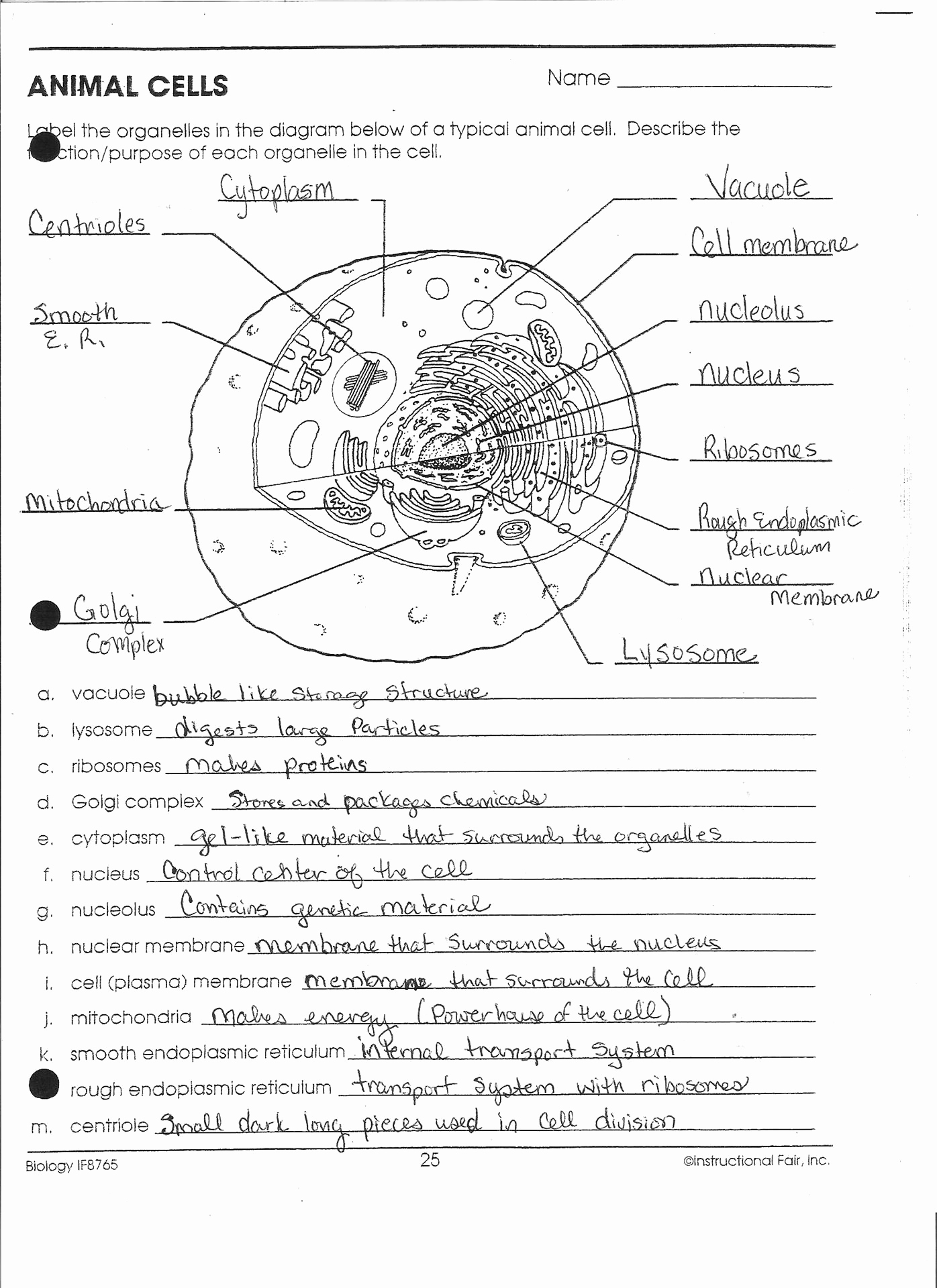 Printable Cell Worksheets Lovely 12 Cell organelles Worksheet Middle School
