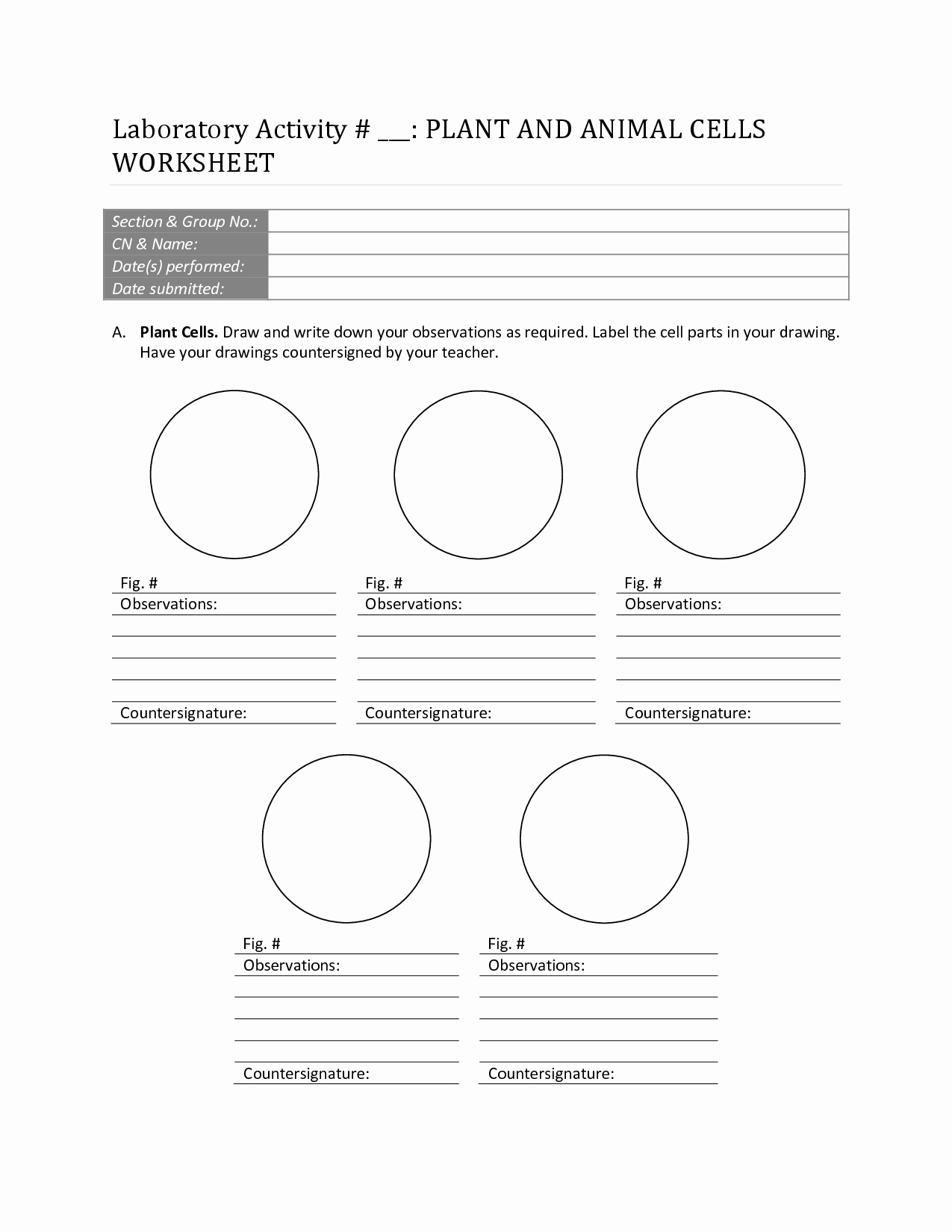 Printable Cell Worksheets Lovely 13 Best Of Printable Worksheets Cells Animal Cell