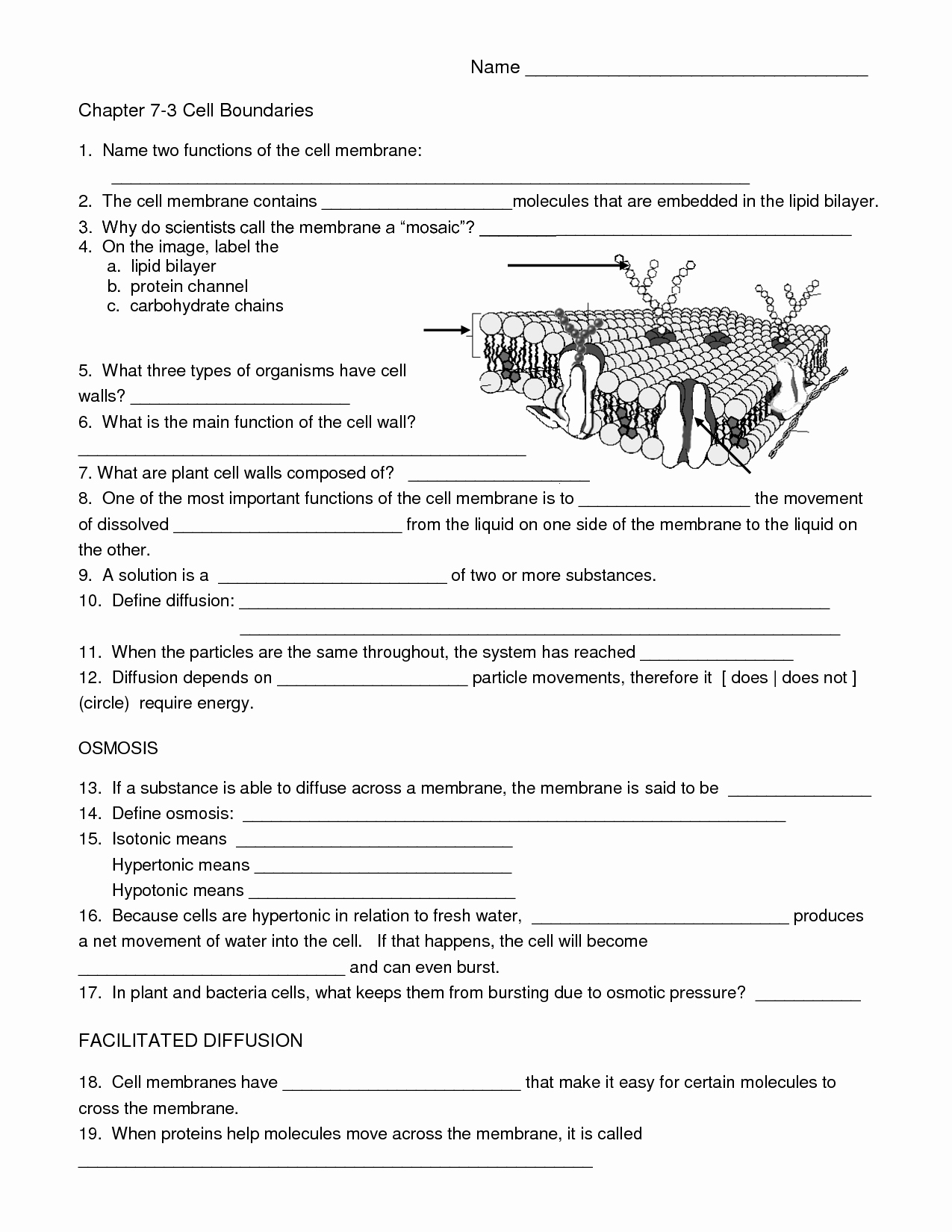 Printable Cell Worksheets Lovely 7 Best Of Printable Biology Worksheets Biology