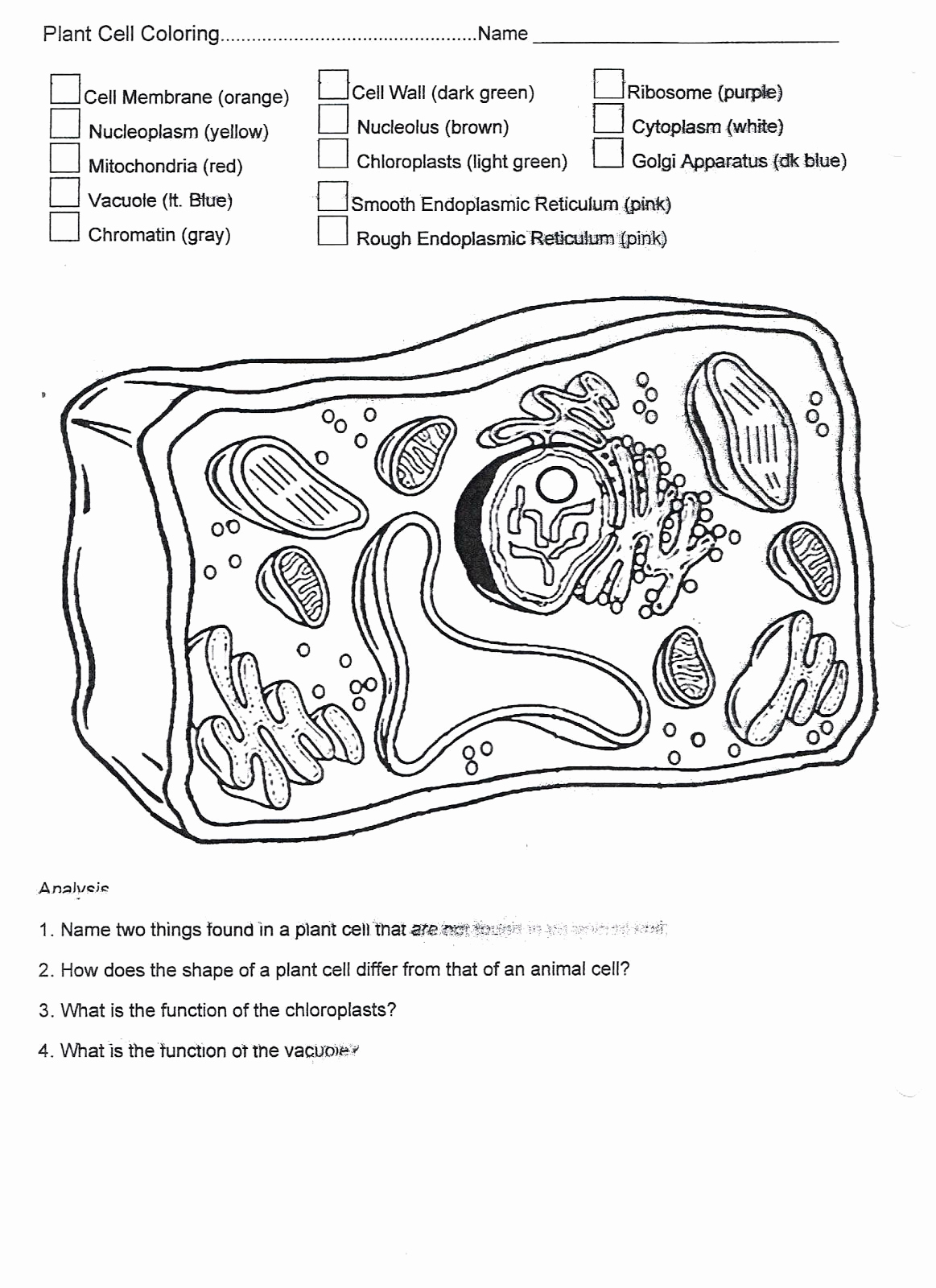 Printable Cell Worksheets Lovely Animal Cell Coloring Answers Printable