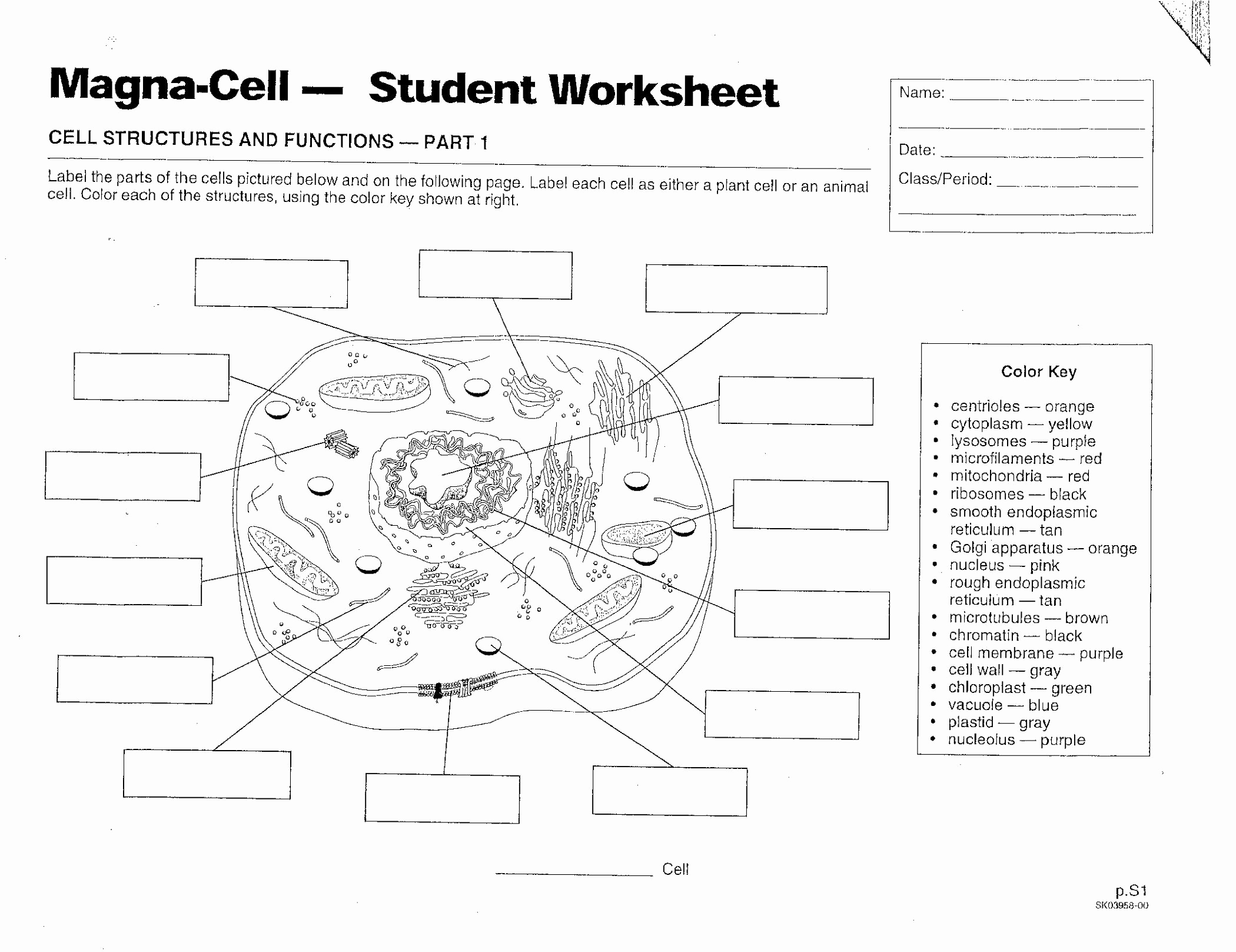 Printable Cell Worksheets Unique Plant and Animal Cell Diagram Worksheet