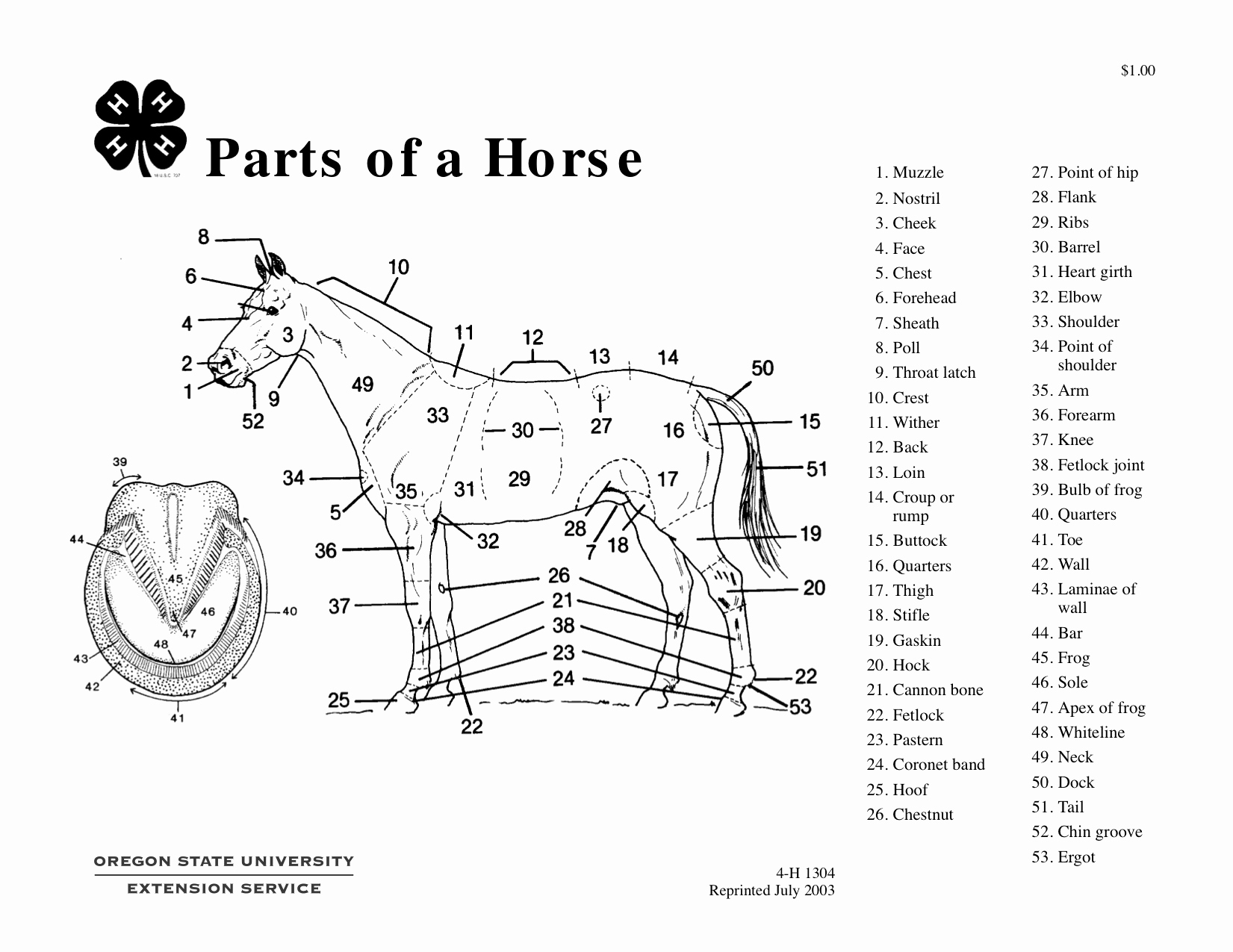 Printable Horse Anatomy Worksheets Beautiful Parts the Horse Worksheet Nidecmege