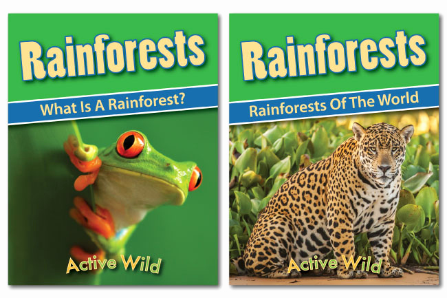 Rainforest Worksheets Free Elegant Rainforest Worksheets Printable Pdf Factsheets Download