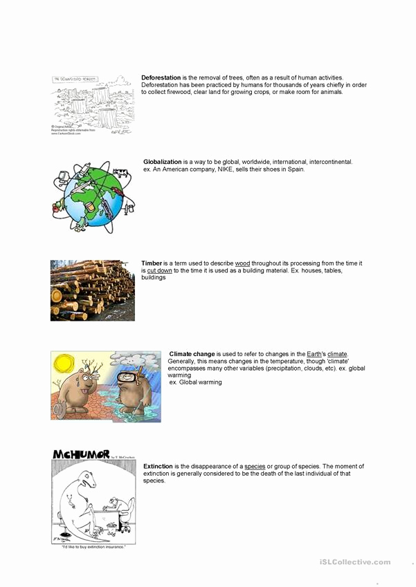Rainforest Worksheets Free Inspirational Rainforest Vocabulary Worksheet Free Esl Printable