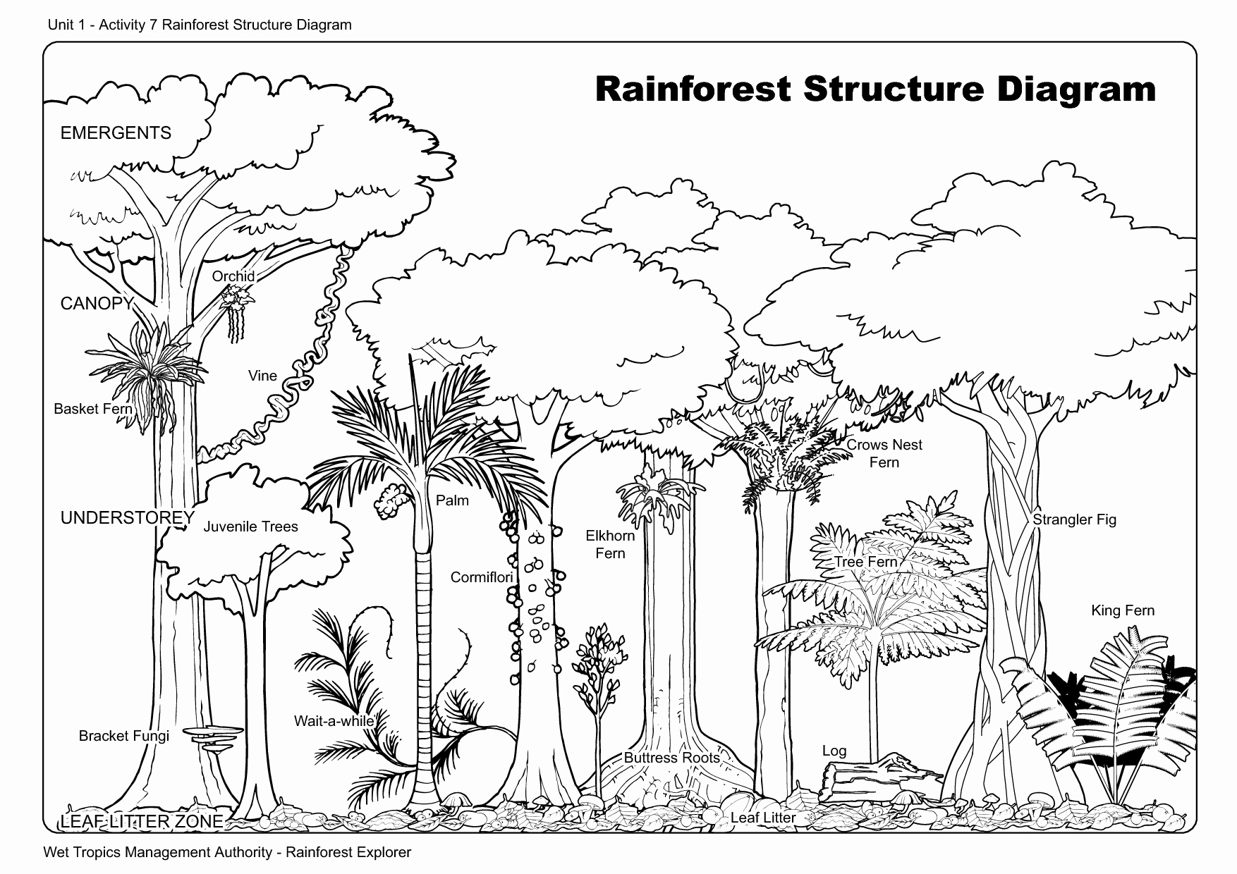 Rainforest Worksheets Free Lovely 11 Best Of Worksheets About Trees Rainforest