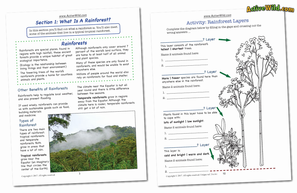 Rainforest Worksheets Free Luxury Rainforest Worksheets Printable Pdf Factsheets Download