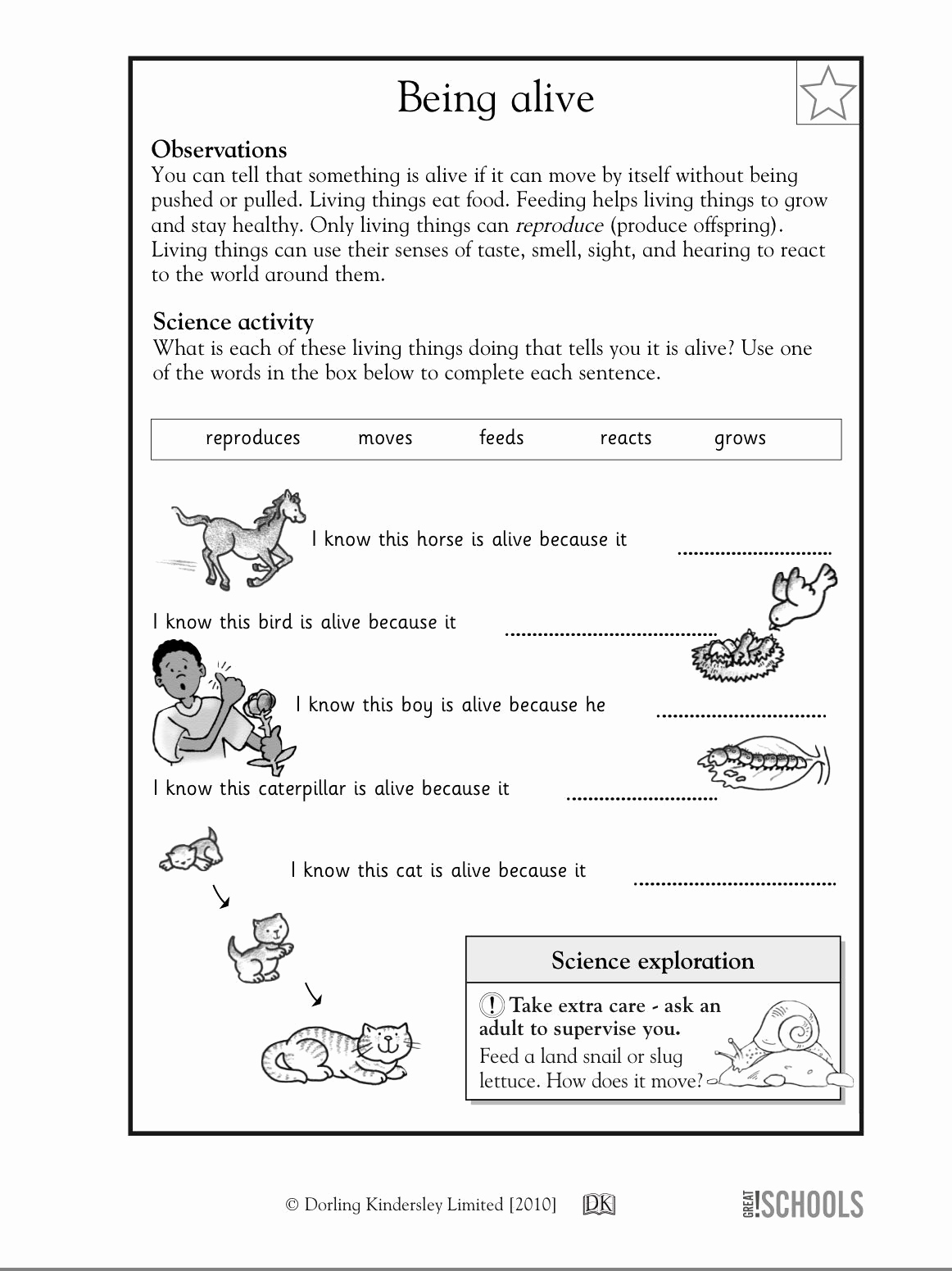 Science Worksheet 1st Grade Inspirational Science Worksheets for Kids 1st Grade thekidsworksheet