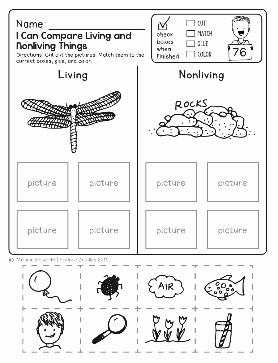 Get 30 Creative Science Worksheet 1st Grade Simple Template Design