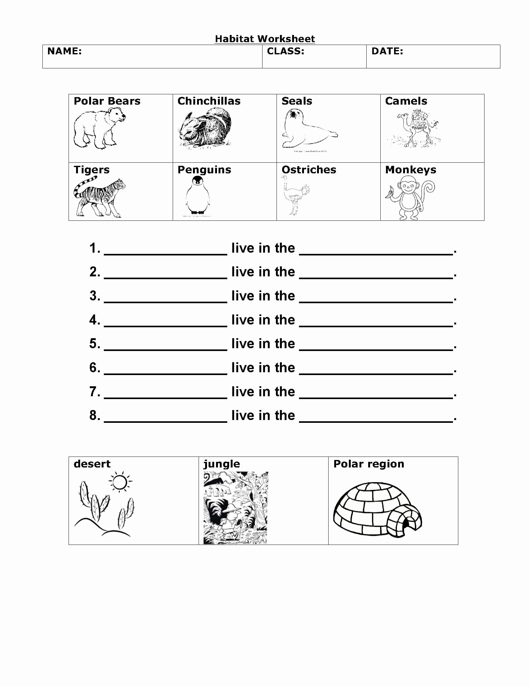 Science Worksheet 1st Grade New Free Printable 1st Grade Science Worksheets – Learning How