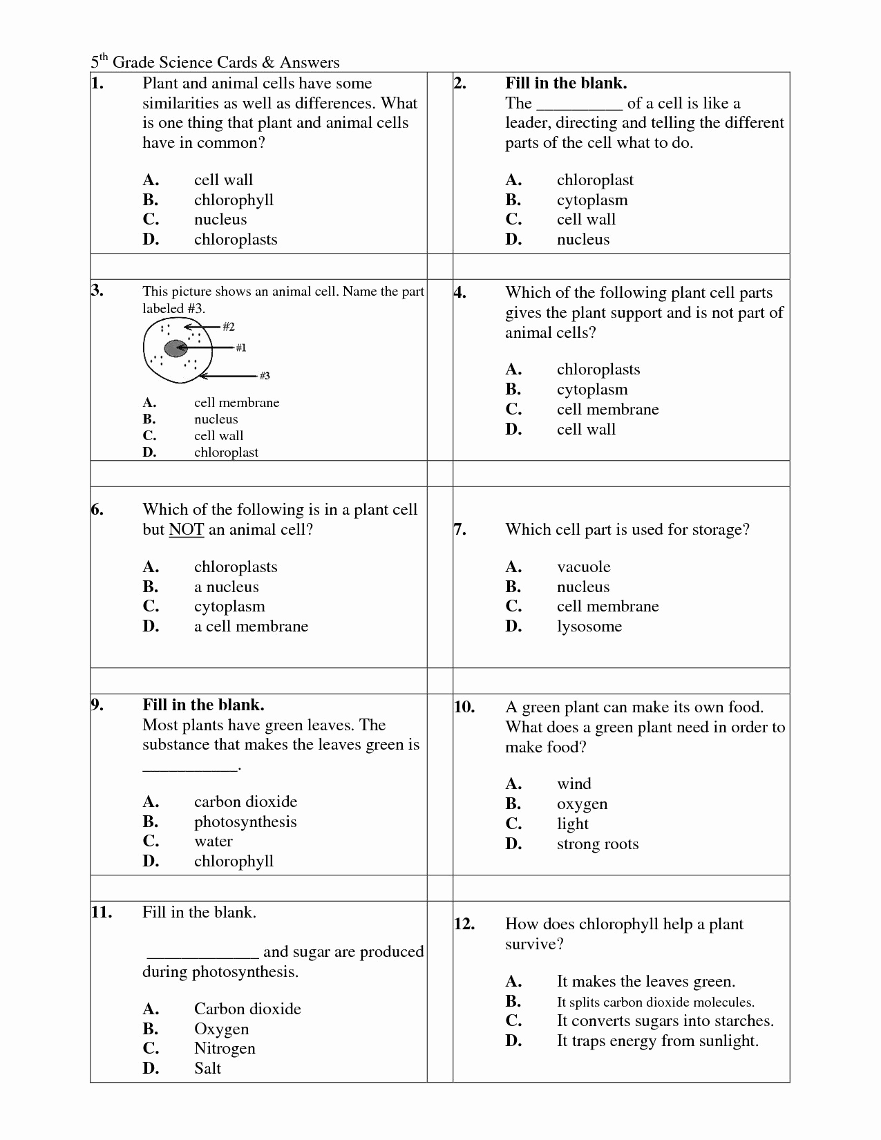 Science Worksheets for 5th Grade Awesome 5th Grade Science Worksheets with Answer Key — Excelguider