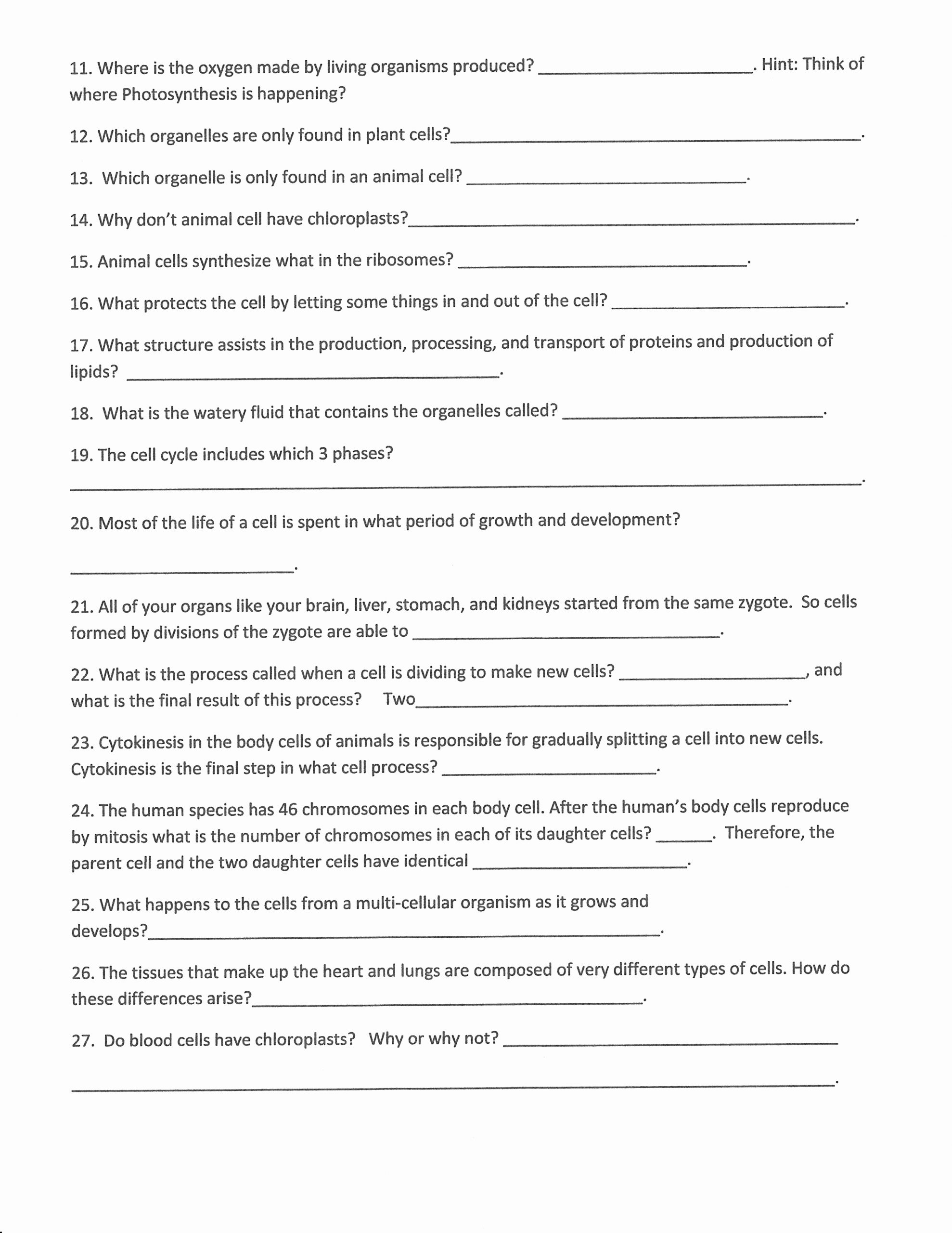 Science Worksheets for 7th Grade Awesome 19 Best Of Cells Worksheets Grade 7 Plant and