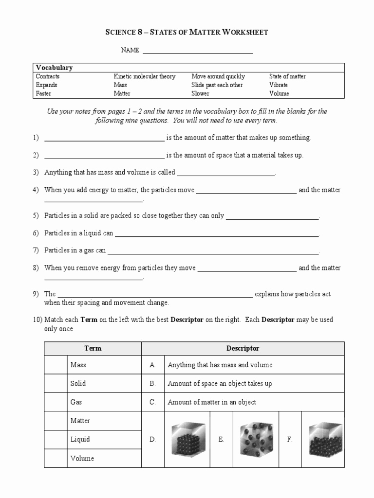 Science Worksheets for 7th Grade Lovely 7th Grade Science Worksheets Pdf