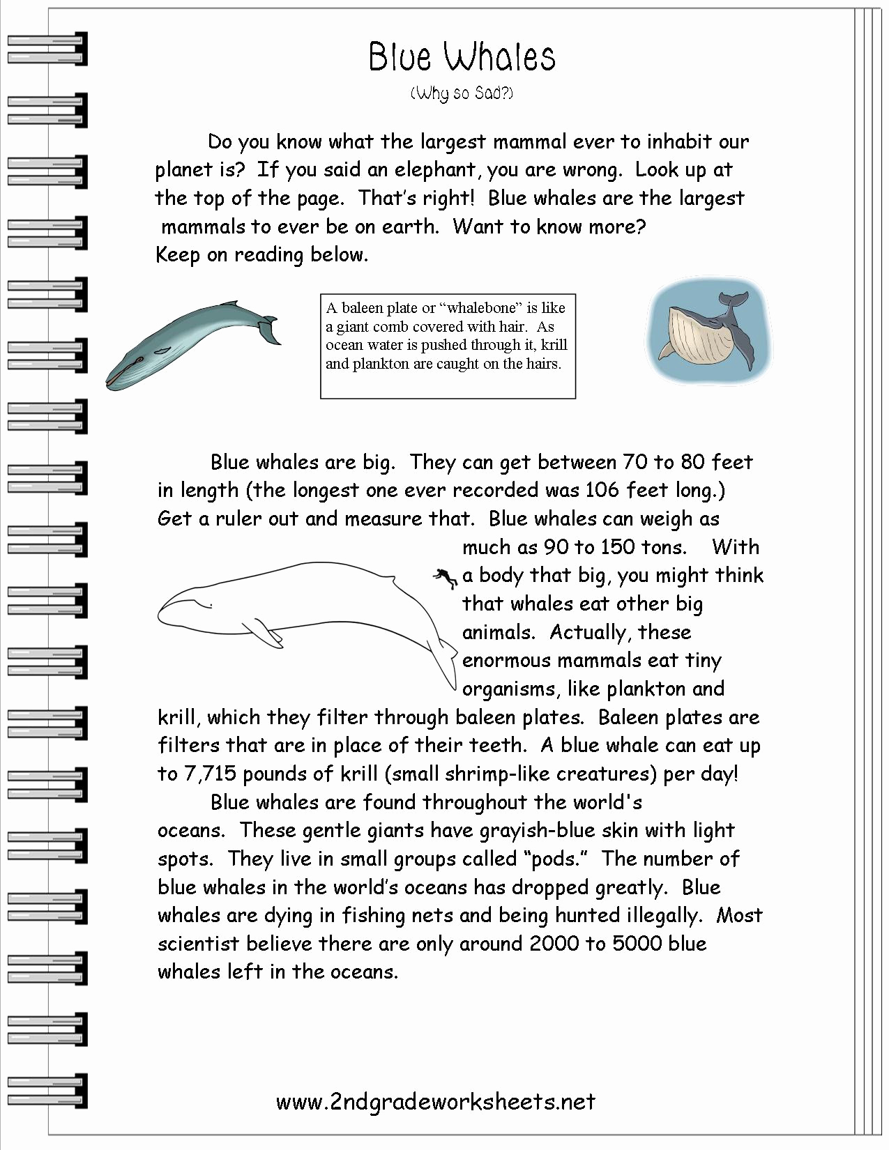 Sequence Worksheets 3rd Grade Inspirational 20 Sequence Worksheets 3rd Grade