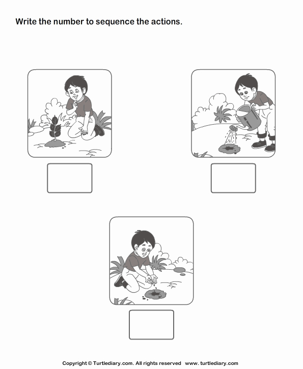 Sequencing Pictures Worksheets Best Of Picture Sequencing Boy Planting A Tree Worksheet Turtle